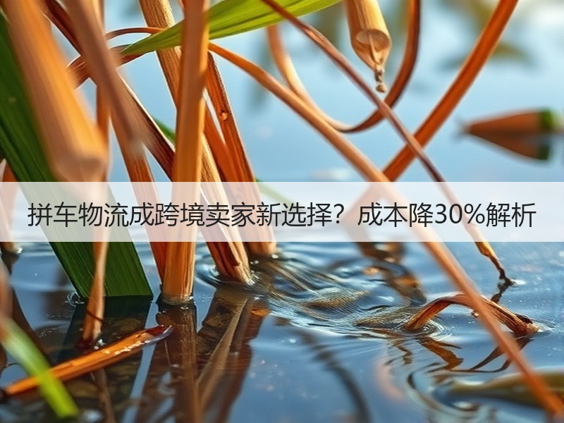 拼车物流成跨境卖家新选择?成本降30%解析 拼车物流成跨境卖家新选择?成本降30%解析