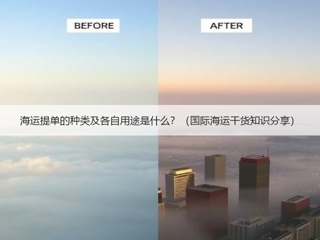 海运提单的种类及各自用途是什么?(国际海运干货知识分享)(图3) 海运提单的种类及各自用途是什么?(国际海运干货知识分享)(图3)