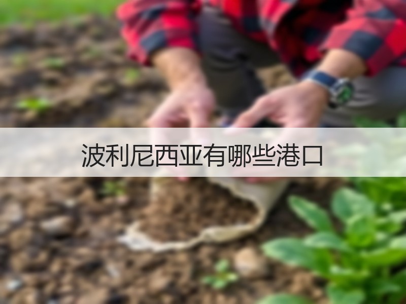 波利尼西亚有哪些港口