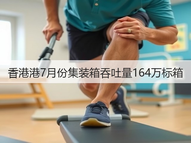 香港港7月份集装箱吞吐量164万标箱(图1) 香港港7月份集装箱吞吐量164万标箱(图1)