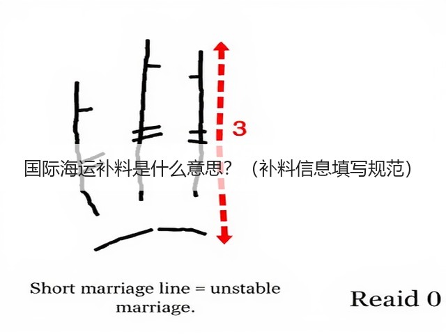 国际海运补料是什么意思?(补料信息填写规范)(图2) 国际海运补料是什么意思?(补料信息填写规范)(图2)