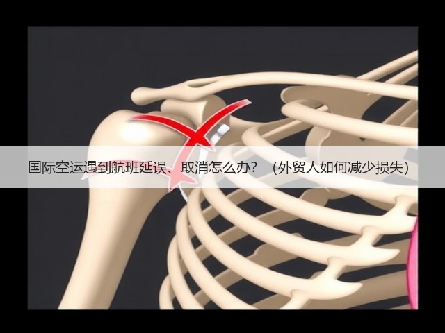 国际空运遇到航班延误、取消怎么办?(外贸人如何减少损失)(图2) 国际空运遇到航班延误、取消怎么办?(外贸人如何减少损失)(图2)