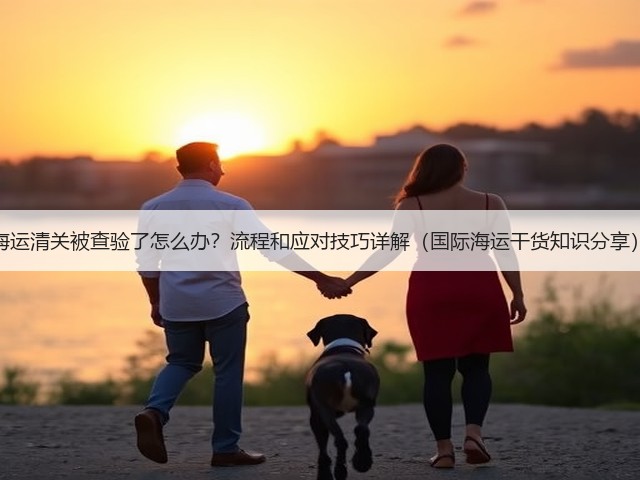 海运清关被查验了怎么办？流程和应对技巧详解（国际海运干货知识分享）(图1)