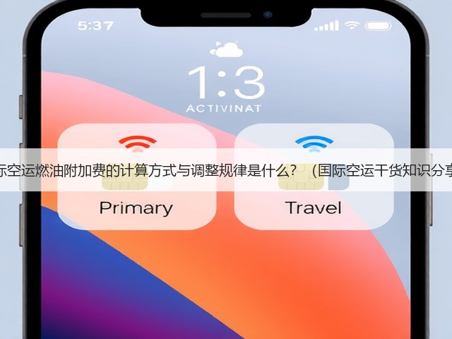 国际空运燃油附加费的计算方式与调整规律是什么？（国际空运干货知识分享）(图3)