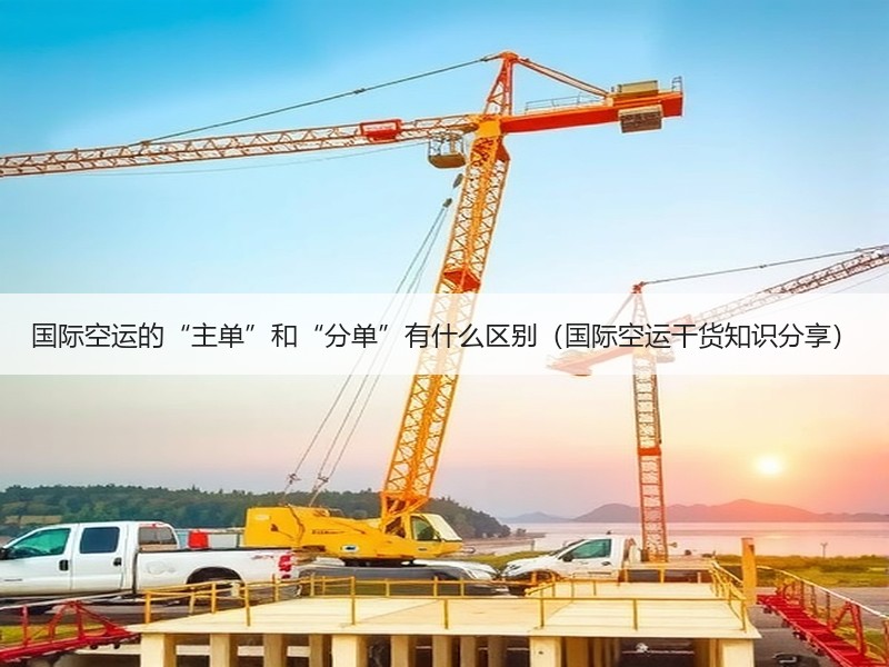 国际空运的“主单”和“分单”有什么区别（国际空运干货知识分享）