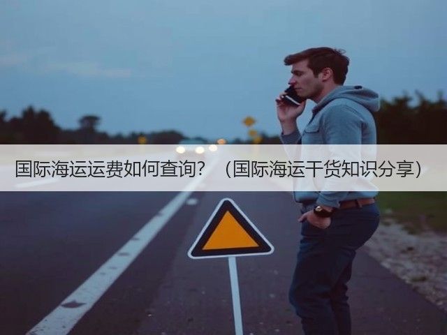 国际海运运费如何查询?(国际海运干货知识分享)(图2) 国际海运运费如何查询?(国际海运干货知识分享)(图2)