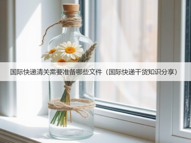 国际快递清关需要准备哪些文件(国际快递干货知识分享)(图1) 国际快递清关需要准备哪些文件(国际快递干货知识分享)(图1)