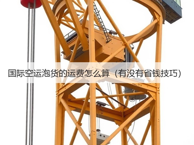 国际空运泡货的运费怎么算(有没有省钱技巧)(图2) 国际空运泡货的运费怎么算(有没有省钱技巧)(图2)
