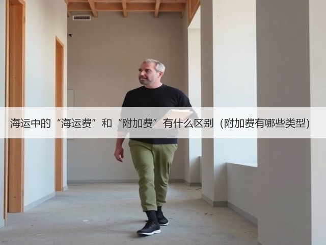 海运中的“海运费”和“附加费”有什么区别(附加费有哪些类型)(图3) 海运中的“海运费”和“附加费”有什么区别(附加费有哪些类型)(图3)