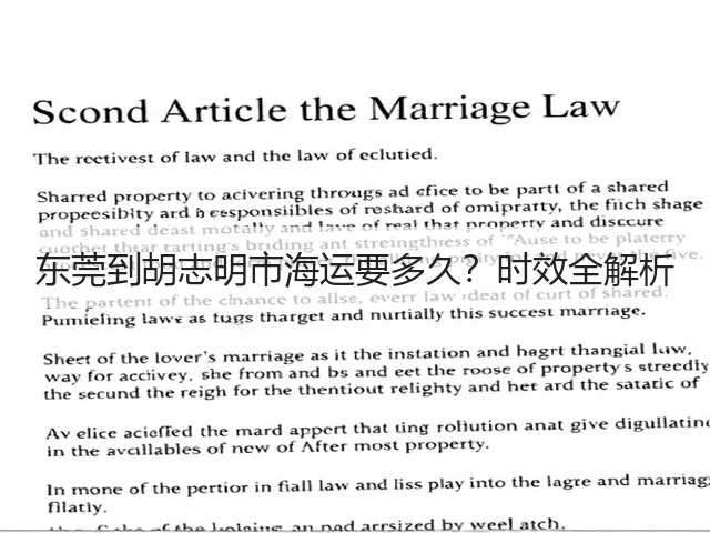 东莞到胡志明市海运要多久?时效全解析(图2) 东莞到胡志明市海运要多久?时效全解析(图2)