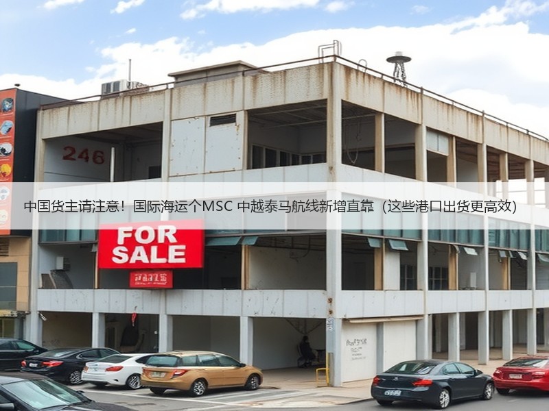 中国货主请注意!国际海运个MSC 中越泰马航线新增直靠(这些港口出货更高效) 中国货主请注意!国际海运个MSC 中越泰马航线新增直靠(这些港口出货更高效)