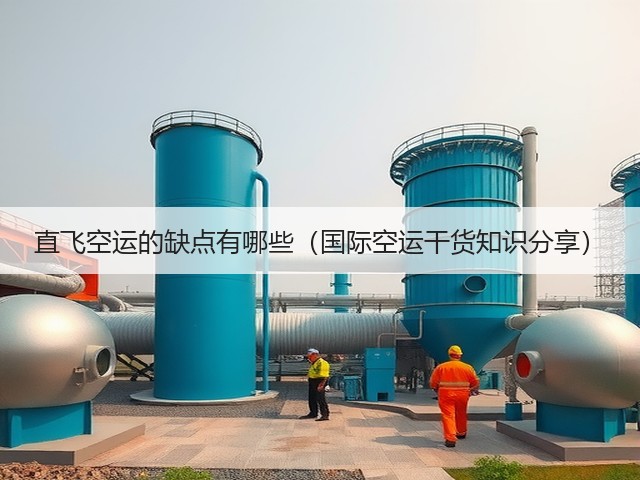直飞空运的缺点有哪些(国际空运干货知识分享)(图2) 直飞空运的缺点有哪些(国际空运干货知识分享)(图2)