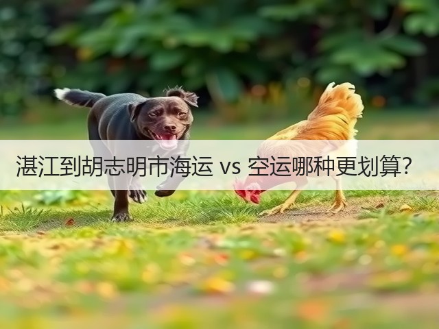 湛江到胡志明市海运 vs 空运哪种更划算？(图2)