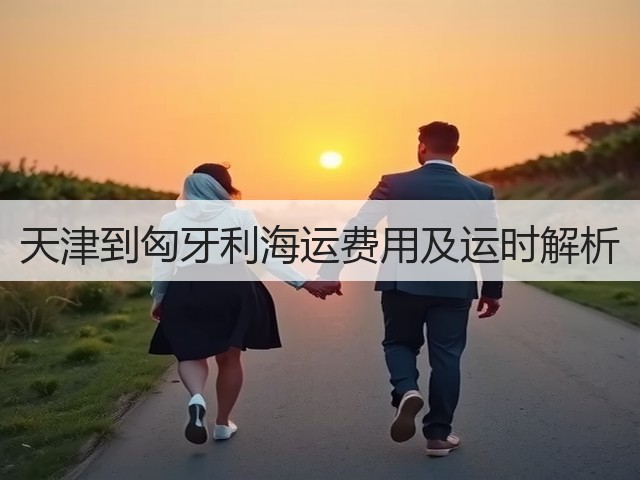 天津到匈牙利海运费用及运时解析(图1) 天津到匈牙利海运费用及运时解析(图1)