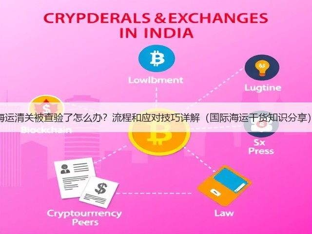 海运清关被查验了怎么办？流程和应对技巧详解（国际海运干货知识分享）(图3)