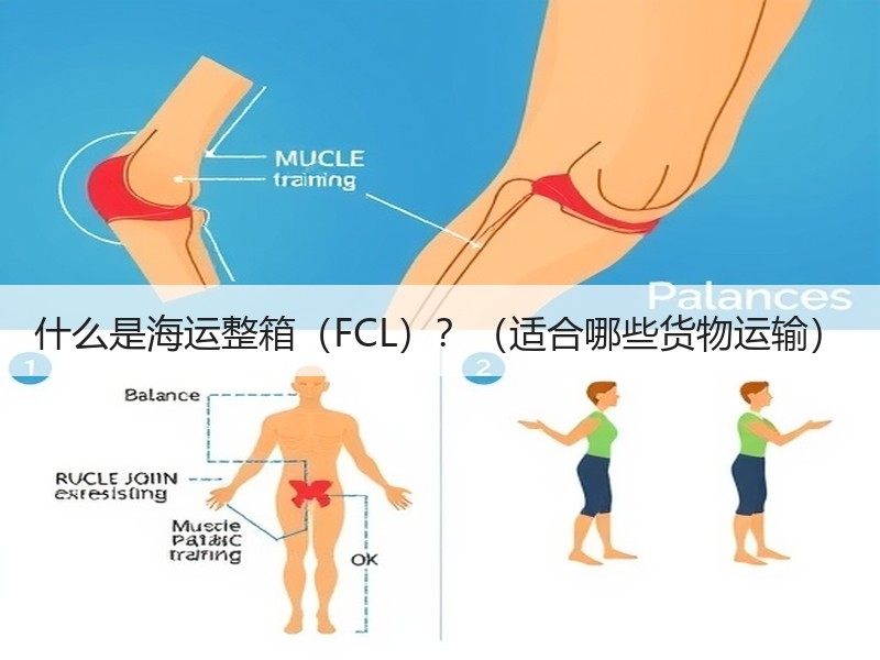 什么是海运整箱（FCL）？（适合哪些货物运输）