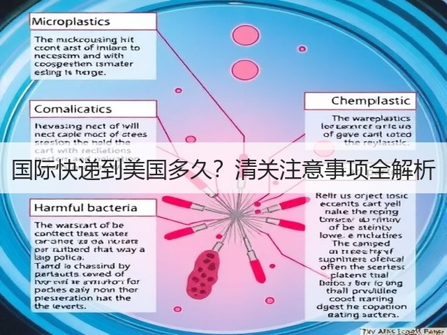国际快递到美国多久?清关注意事项全解析(图2) 国际快递到美国多久?清关注意事项全解析(图2)