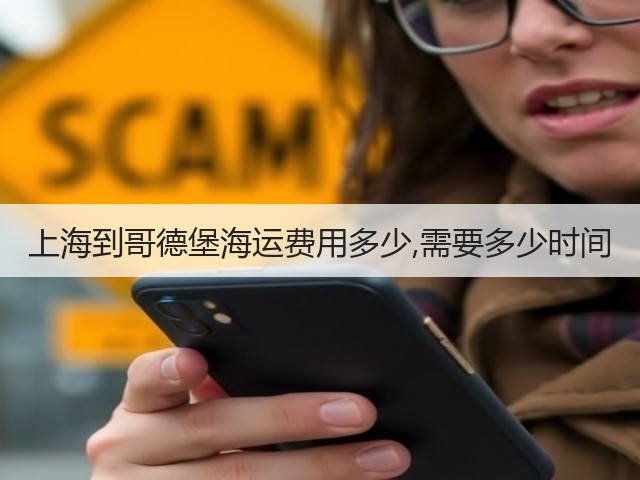 上海到哥德堡海运费用多少,需要多少时间(图3) 上海到哥德堡海运费用多少,需要多少时间(图3)