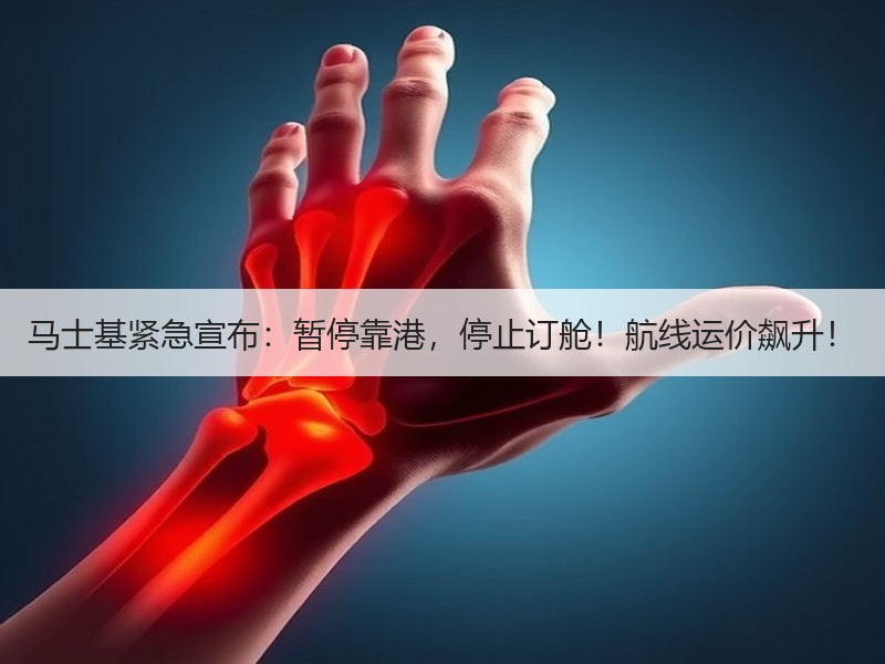 马士基紧急宣布:暂停靠港,停止订舱!航线运价飙升! 马士基紧急宣布:暂停靠港,停止订舱!航线运价飙升!