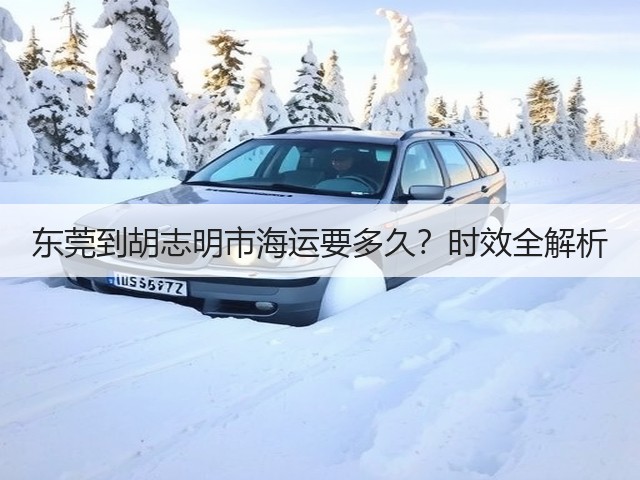 东莞到胡志明市海运要多久?时效全解析(图1) 东莞到胡志明市海运要多久?时效全解析(图1)