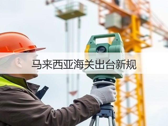 马来西亚海关出台新规(图2)