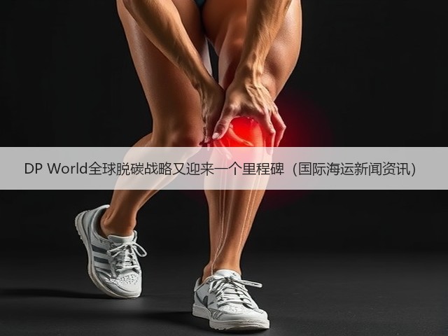 DP World全球脱碳战略又迎来一个里程碑(国际海运新闻资讯)(图3) DP World全球脱碳战略又迎来一个里程碑(国际海运新闻资讯)(图3)
