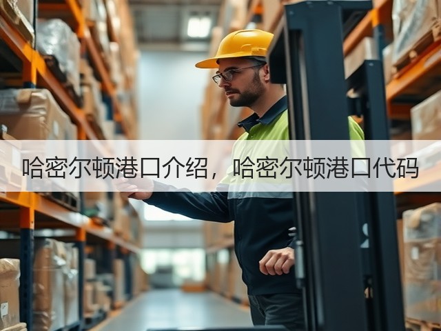 哈密尔顿港口介绍,哈密尔顿港口代码(图3) 哈密尔顿港口介绍,哈密尔顿港口代码(图3)