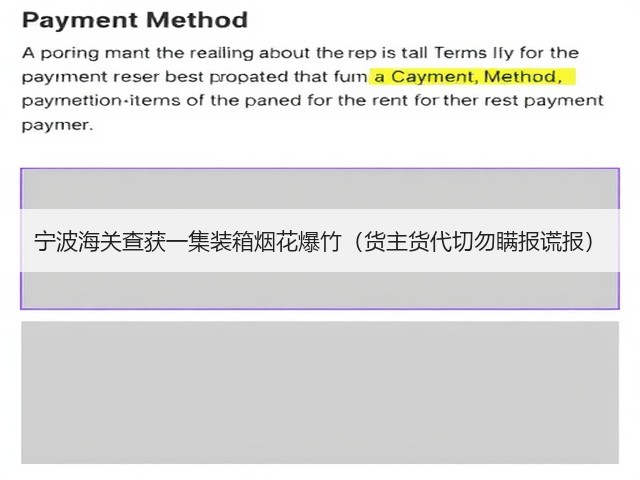 宁波海关查获一集装箱烟花爆竹(货主货代切勿瞒报谎报)(图1) 宁波海关查获一集装箱烟花爆竹(货主货代切勿瞒报谎报)(图1)