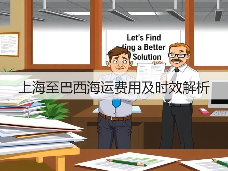 上海至巴西海运费用及时效解析 上海至巴西海运费用及时效解析
