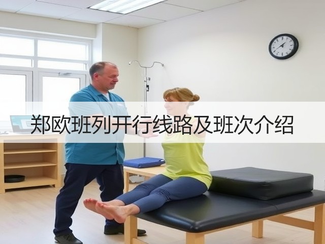 郑欧班列开行线路及班次介绍(图1) 郑欧班列开行线路及班次介绍(图1)