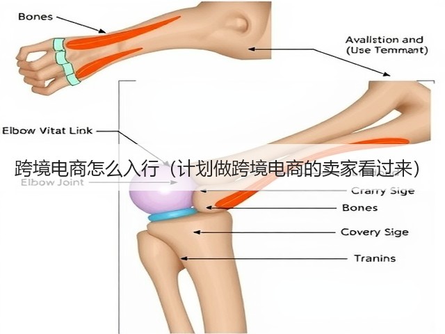 跨境电商怎么入行(计划做跨境电商的卖家看过来)(图1) 跨境电商怎么入行(计划做跨境电商的卖家看过来)(图1)