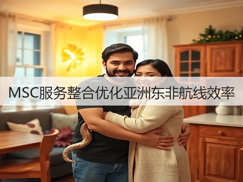 MSC服务整合优化亚洲东非航线效率 MSC服务整合优化亚洲东非航线效率