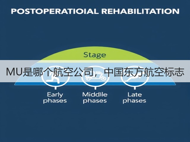MU是哪个航空公司，中国东方航空标志(图3)
