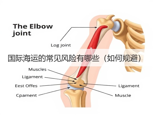 国际海运的常见风险有哪些(如何规避)(图2) 国际海运的常见风险有哪些(如何规避)(图2)