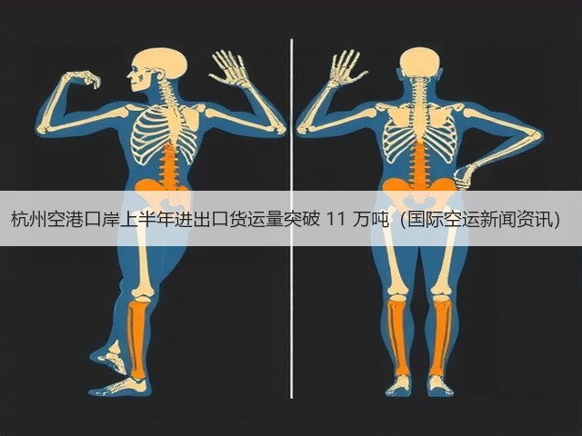 杭州空港口岸上半年进出口货运量突破 11 万吨（国际空运新闻资讯）(图3)