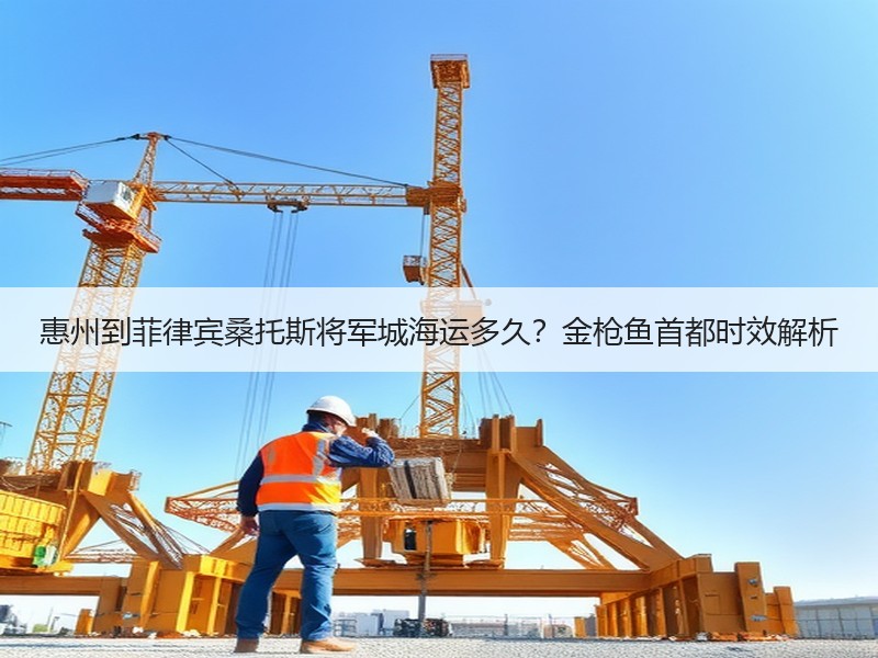 惠州到菲律宾桑托斯将军城海运多久？金枪鱼首都时效解析