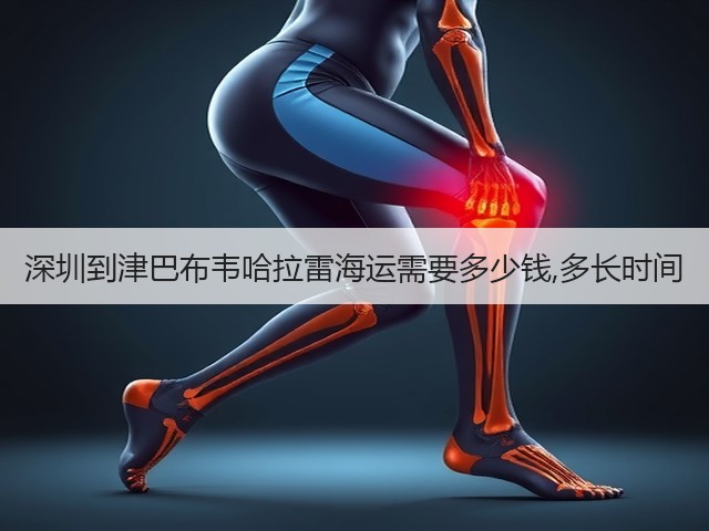 深圳到津巴布韦哈拉雷海运需要多少钱,多长时间(图1) 深圳到津巴布韦哈拉雷海运需要多少钱,多长时间(图1)