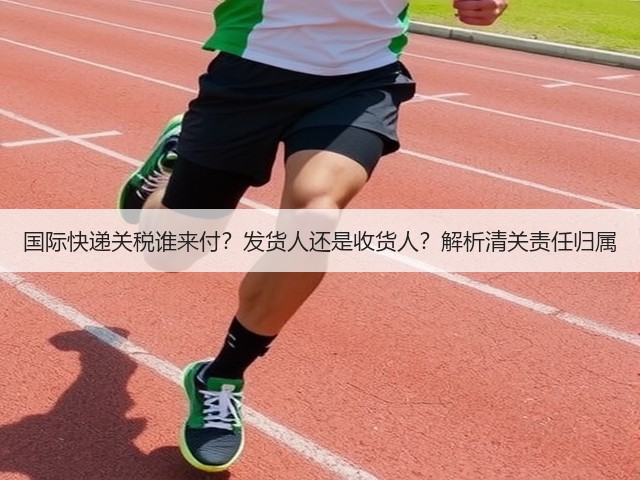 国际快递关税谁来付?发货人还是收货人?解析清关责任归属(图3) 国际快递关税谁来付?发货人还是收货人?解析清关责任归属(图3)