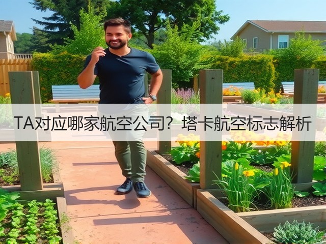 TA对应哪家航空公司?塔卡航空标志解析(图3) TA对应哪家航空公司?塔卡航空标志解析(图3)