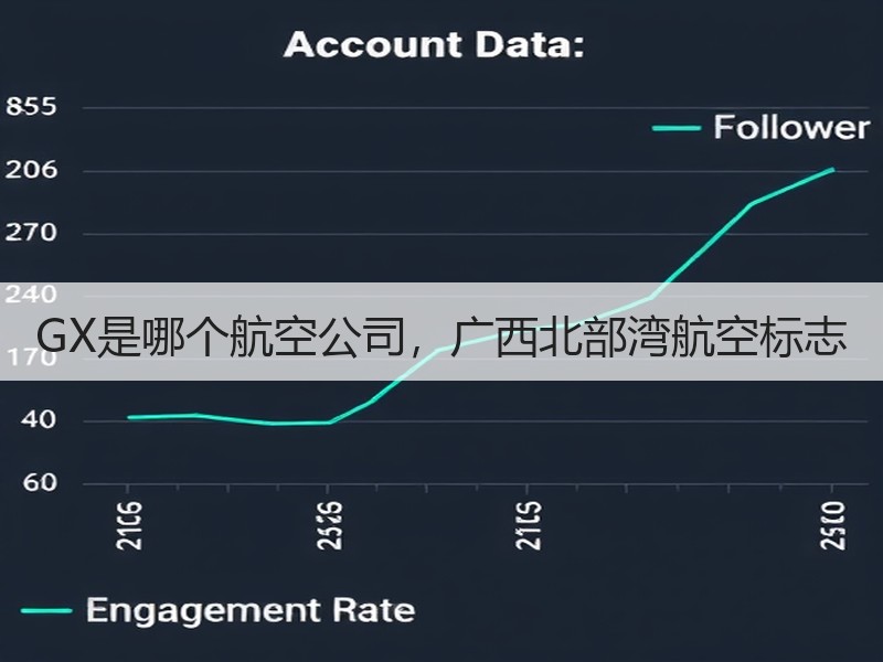 GX是哪个航空公司，广西北部湾航空标志