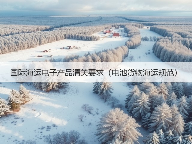 国际海运电子产品清关要求(电池货物海运规范)(图1) 国际海运电子产品清关要求(电池货物海运规范)(图1)