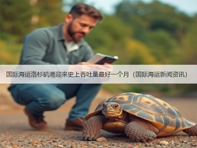国际海运洛杉矶港迎来史上吞吐量最好一个月(国际海运新闻资讯)(图1) 国际海运洛杉矶港迎来史上吞吐量最好一个月(国际海运新闻资讯)(图1)