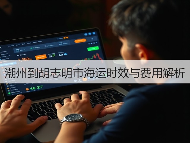 潮州到胡志明市海运时效与费用解析(图3)