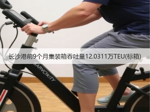 长沙港前9个月集装箱吞吐量12.0311万TEU(标箱)(图3) 长沙港前9个月集装箱吞吐量12.0311万TEU(标箱)(图3)
