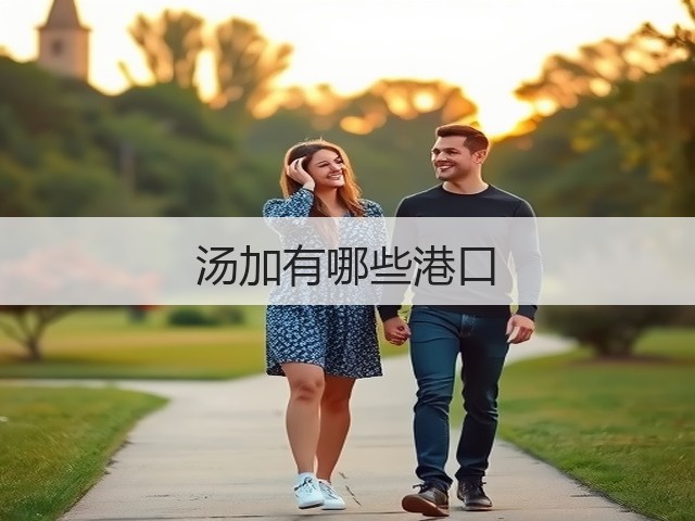汤加有哪些港口(图2) 汤加有哪些港口(图2)