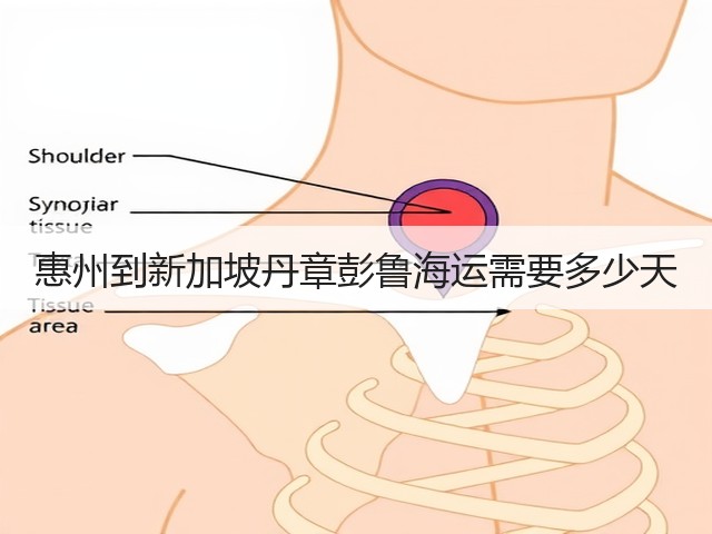 惠州到新加坡丹章彭鲁海运需要多少天(图1) 惠州到新加坡丹章彭鲁海运需要多少天(图1)