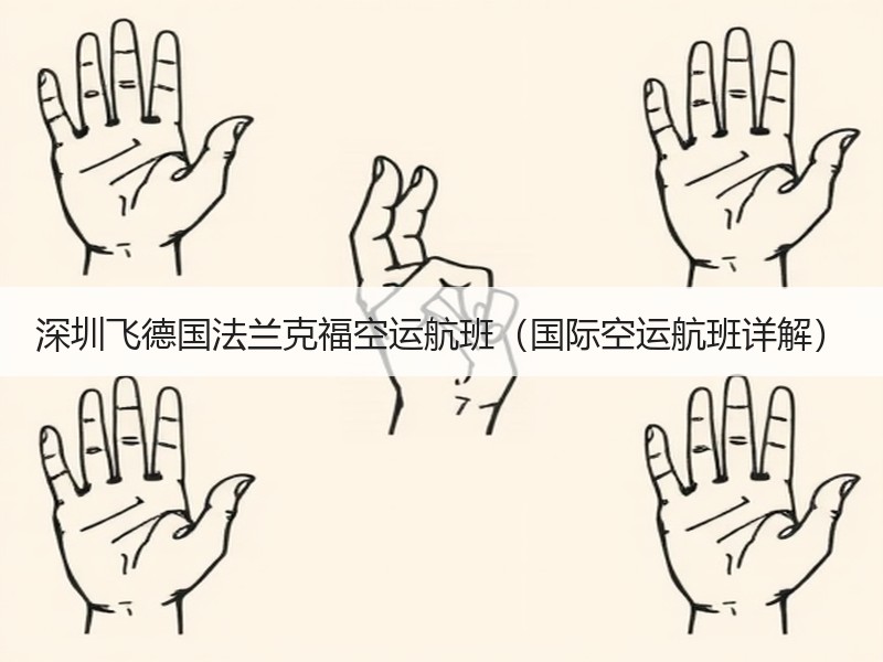 深圳飞德国法兰克福空运航班(国际空运航班详解) 深圳飞德国法兰克福空运航班(国际空运航班详解)