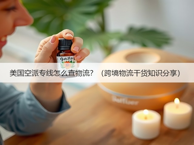 美国空派专线怎么查物流?(跨境物流干货知识分享)(图1) 美国空派专线怎么查物流?(跨境物流干货知识分享)(图1)