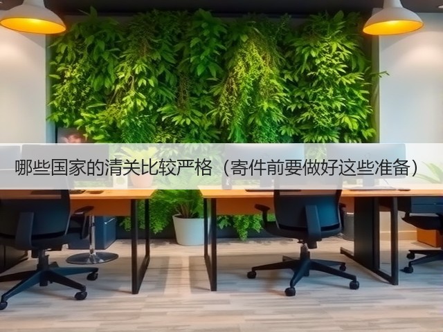 哪些国家的清关比较严格(寄件前要做好这些准备)(图2) 哪些国家的清关比较严格(寄件前要做好这些准备)(图2)