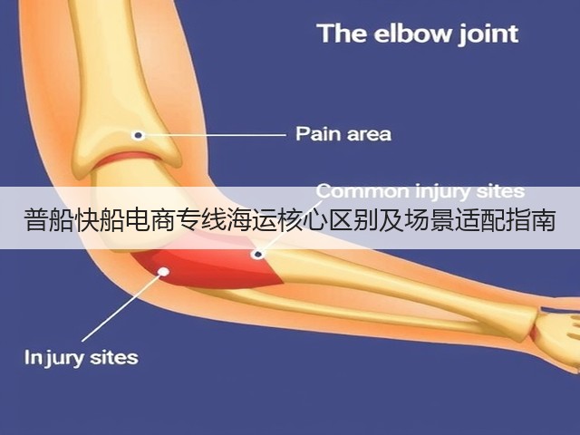 普船快船电商专线海运核心区别及场景适配指南(图3) 普船快船电商专线海运核心区别及场景适配指南(图3)